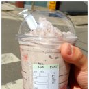 라코스테현대신촌
