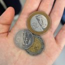 국수사랑봉사단 | [2025년 코이카 프로젝트 봉사단 5기] 필리핀 파견 2주 차 후기