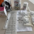 24시 포항 이음동물의료센터 이미지