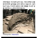 지구상에 남아 있는 가장 완벽한 공룡 화석 이미지