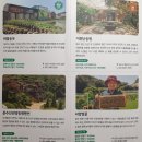 인삼마을벌꿀 이미지