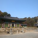 구룡사 티스토리