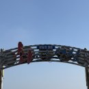 삼길포 선상어시장거리 | 삼길포 9경 / 회뜨는 선상 / 내돈내산후기