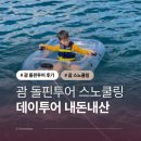 드림스낵 | 괌 돌핀투어 스노쿨링 드림돌핀크루즈 내돈내산 솔직 후기 아기랑