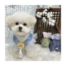 멍앤리치 이미지