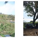 한양촌 성삼문선생 유허지 이미지