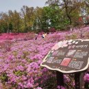 고강선사유적공원 이미지