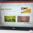 요미당 이미지