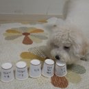 무한뽑기 이미지