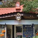 에코공원 | 제주 조천 자연과사람들 밀면 | 에코랜드 돌문화공원 맛집 아기랑 방문 후기