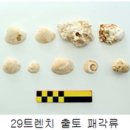 창원 내동패총 이미지