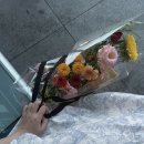 꽃꽂이B | 꽃꽂이 취미 추천 l 꾸까 광화문점 클래스 후기 및 비용