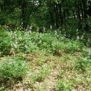 백선농장 이미지