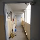 평화동-01 이미지