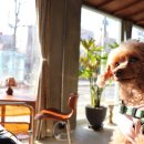 보문차병원 이미지