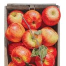 풍동중학교 이미지