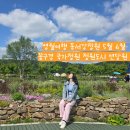 쌍용자동차양산정비사업소 | 영월여행 동서강정원 5월 6월 꽃구경 국가정원 정원도시 연당원