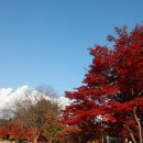 안성중학교 이미지