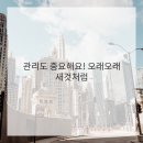 공간커튼&블라인드
