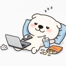 여행일본어 | 정리 | Visit Japan Web·eSIM 준비 + 『맛있는 여행 일본어』 후기 (맛있는스쿨 반값할인한대요 !!)