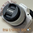 스마트폰으로 감성사진찍기 | 캐논 R50 입문용 카메라 후기, 스마트폰 대신 선택한 이유