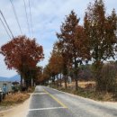 양암 농장 | 일동면 사직리 양바위(앵바위)-사당말 서남쪽에 있는 바위인데, 신선이 이곳에서 아양곡을 불렀다고 전한다
