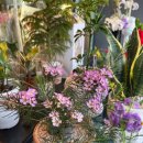 리즈플라워 | 의정부꽃집 센스 있는 꽃선물 리즈플라워 방문 후기