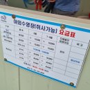 일영랜드 | 서울 근교 장흥 펜션도 갖춰진 일영랜드 수영장 후기