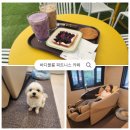 바디블룸피트니스카페