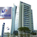 안일영농 네이버블로그