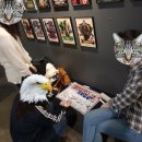 강남-029 이미지