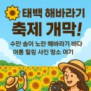 해바라기 애견 이미지