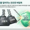 메디칼사랑약국 이미지