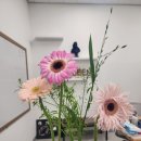 퍼즐영어교습소 이미지