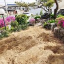 돌담집펜션 이미지