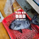 강변자연산횟집 | 노량진수산시장 | 노량진 횟집 돌돔 가격 시세 돌돔회 고급어종 충북수산 후기 추천 돌돔내장 손질 까지!
