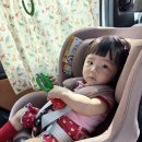 꾸미디자인 | 료꾸미 미니미쫄티 핑크 검정 XS 8개월 후기 프리오더 사이즈 추천