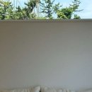 스테이인숲 이미지