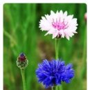 국토토지행정사사무소 이미지