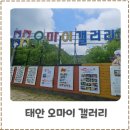 명화 그리는 아이 | 안면도가볼만한곳 오마이갤러리 세계명화 트릭아트전시관