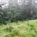 설악농장 이미지