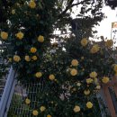 청도자동차공업사 이미지