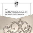 더레드헤어 네이버블로그