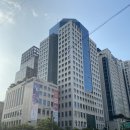 스테이233&쌀쌀맞은닭