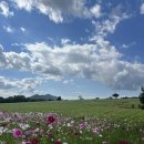 길농장 | 드라마 도깨비 속 그 길, 고창 학원농장 후기 🌾