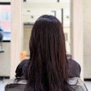 노리댕댕 | 유키니언17호 수성4가점, 브라운염색 잘하는 대구은행역미용실