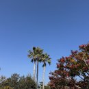 중문제일 | [제주호텔] 신라호텔제주 / 내돈내산 투숙후기, 중문호텔 중 제일 리조트다운 곳! - 객실편