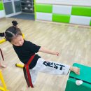 베스트 태권도 이미지