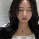 다헤어 이미지