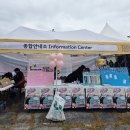 11월 마토예술제<마지막주, 토요일 토요일은 즐거워> 이미지